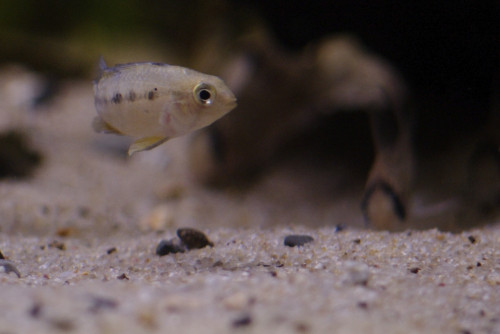_IGP8454.JPG