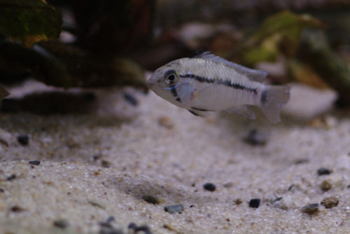 _IGP8470.JPG
