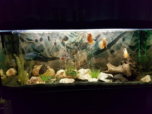20171115_215235.jpg