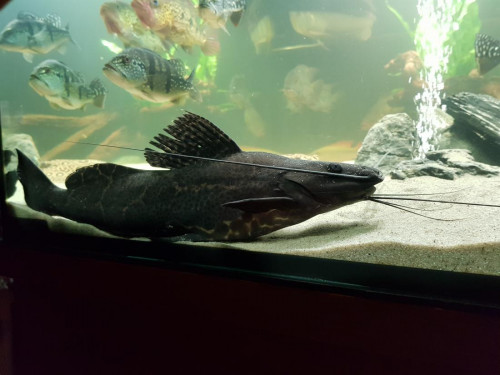 20171105_171334.jpg