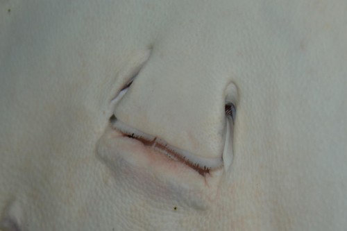 CSC_2228.JPG