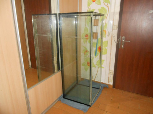 650 050.JPG