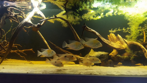 20190916_141634.jpg