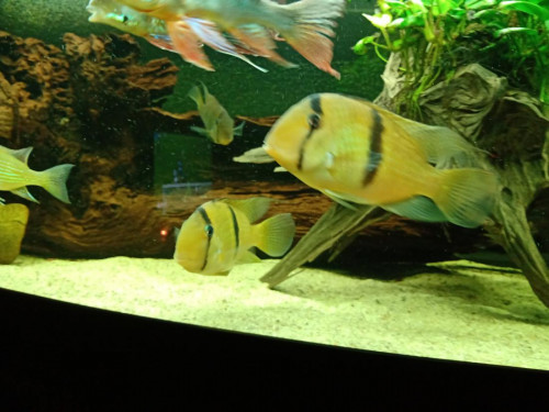 IMG_20201101_202818527_MP.jpg
