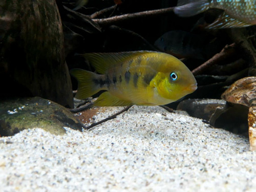 20201117_195340.jpg