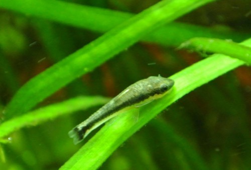 DSC_1219~2.jpg