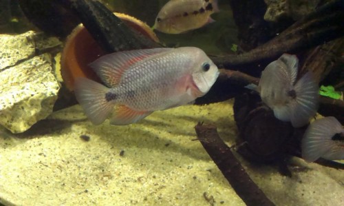 IMAG0647.jpg