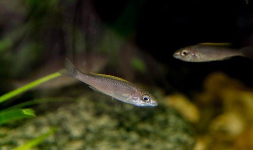 DSC_6946.JPG