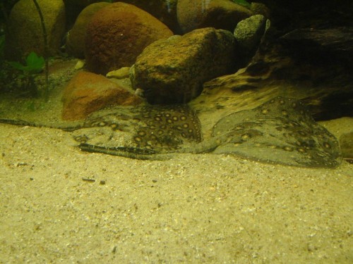 image_full2.jpg